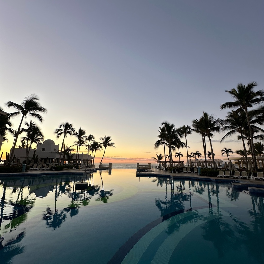 Meet your Posher, Sonie